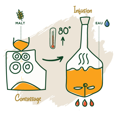 Brassage - Concassage et Infusion du mout
